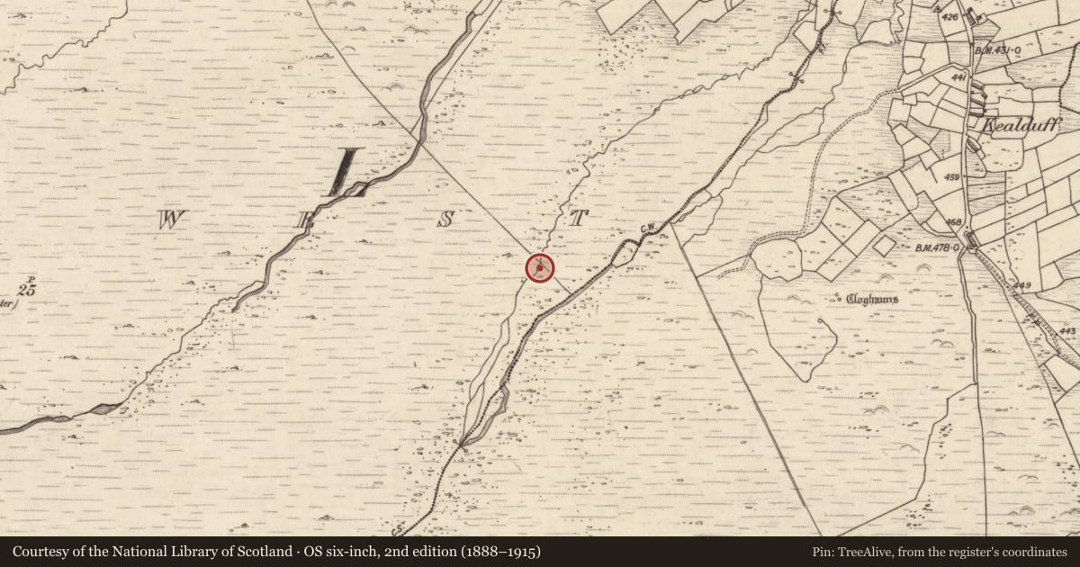 Ordnance Survey six-inch map, 2nd edition (1888–1915) covering the location of Rock art, Letter West, County Kerry, with a pin at the register's coordinates