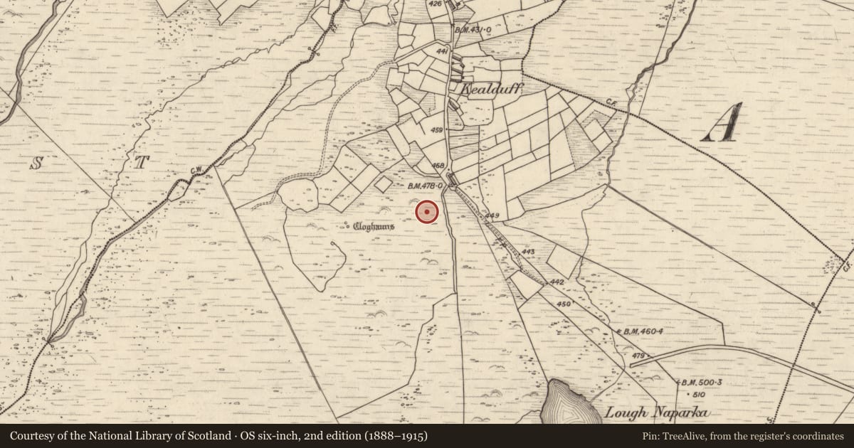 Ordnance Survey six-inch map, 2nd edition (1888–1915) covering the location of Rock art, Kealduff Upper, County Kerry, with a pin at the register's coordinates