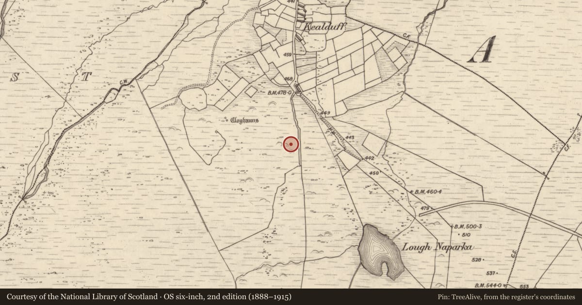 Ordnance Survey six-inch map, 2nd edition (1888–1915) covering the location of Rock art, Kealduff Upper, County Kerry, with a pin at the register's coordinates