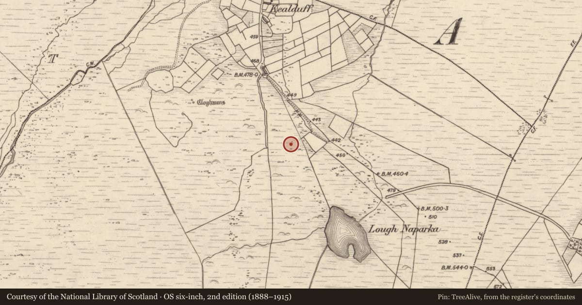 Ordnance Survey six-inch map, 2nd edition (1888–1915) covering the location of Rock art, Kealduff Upper, County Kerry, with a pin at the register's coordinates