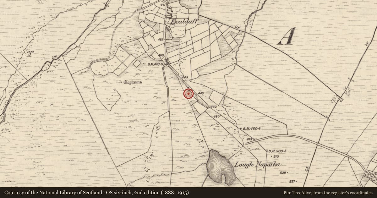 Ordnance Survey six-inch map, 2nd edition (1888–1915) covering the location of Rock art, Kealduff Upper, County Kerry, with a pin at the register's coordinates