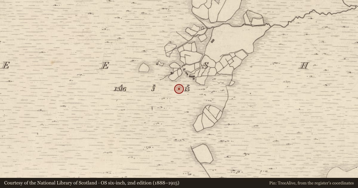 Ordnance Survey six-inch map, 2nd edition (1888–1915) covering the location of Rock art, Neesha, County Kerry, with a pin at the register's coordinates