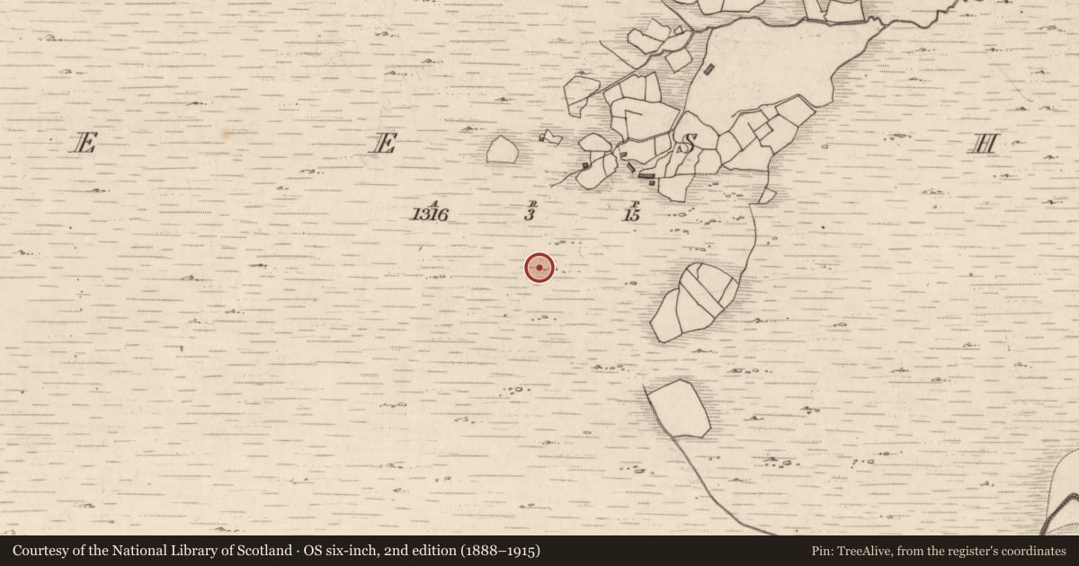 Ordnance Survey six-inch map, 2nd edition (1888–1915) covering the location of Rock art, Neesha, County Kerry, with a pin at the register's coordinates