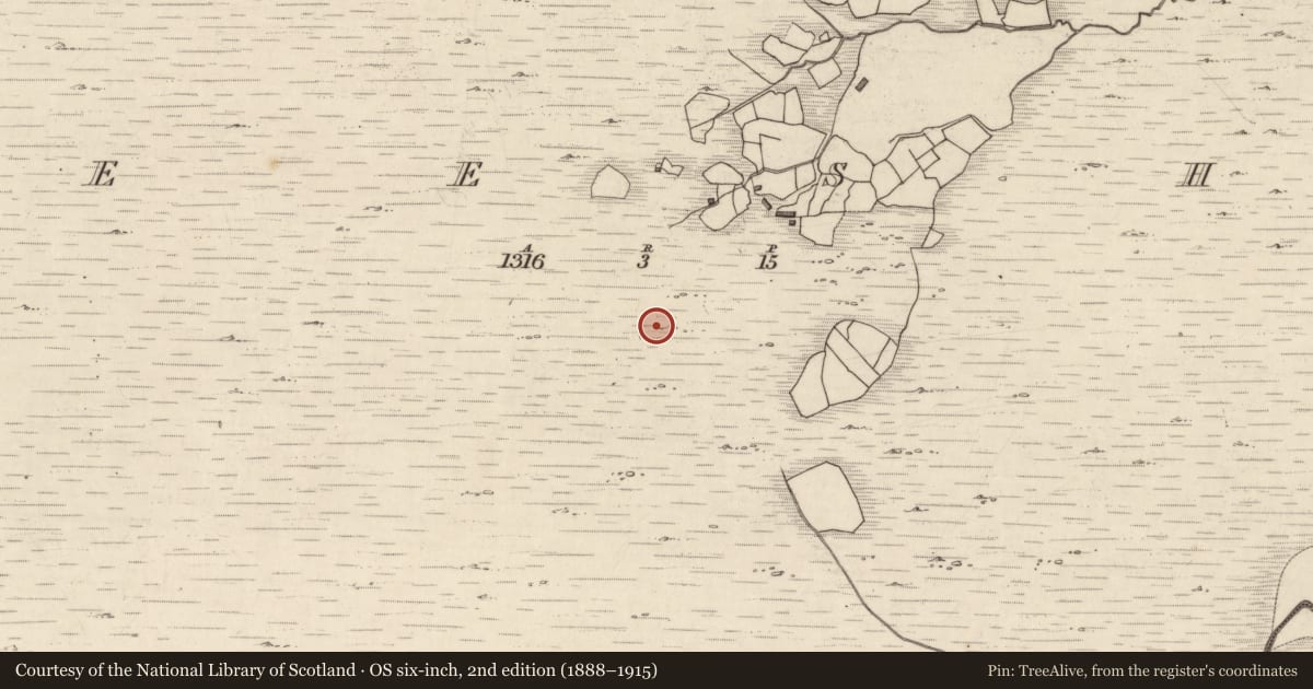 Ordnance Survey six-inch map, 2nd edition (1888–1915) covering the location of Rock art, Neesha, County Kerry, with a pin at the register's coordinates
