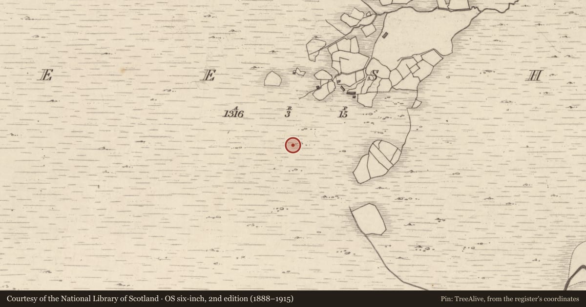 Ordnance Survey six-inch map, 2nd edition (1888–1915) covering the location of Rock art, Neesha, County Kerry, with a pin at the register's coordinates