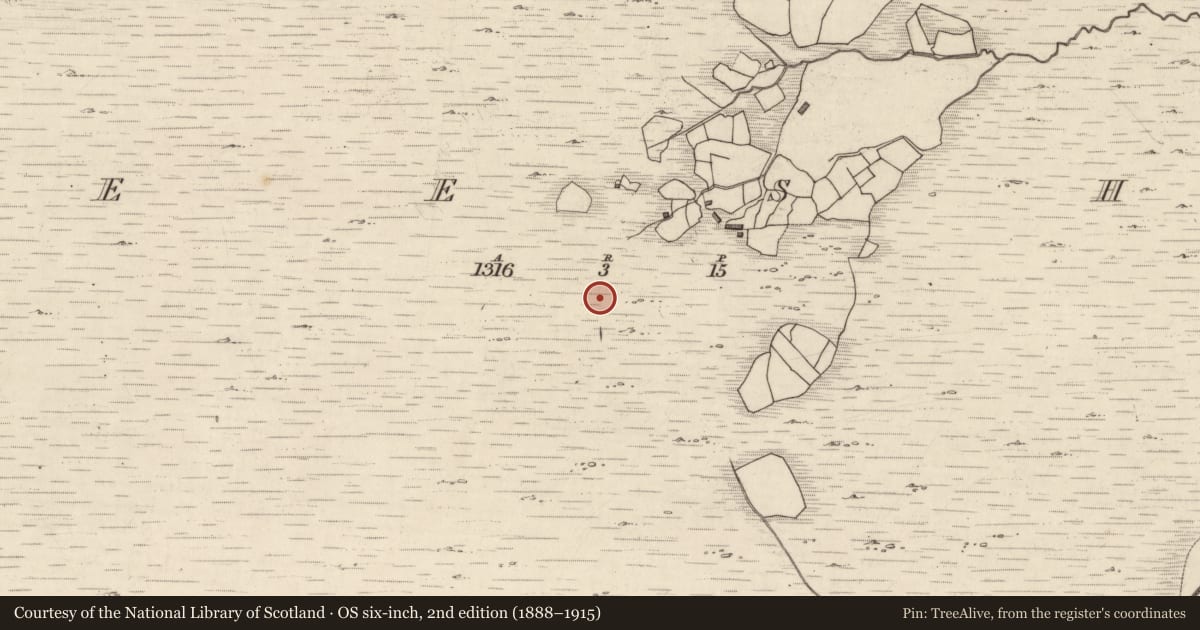 Ordnance Survey six-inch map, 2nd edition (1888–1915) covering the location of Rock art, Neesha, County Kerry, with a pin at the register's coordinates