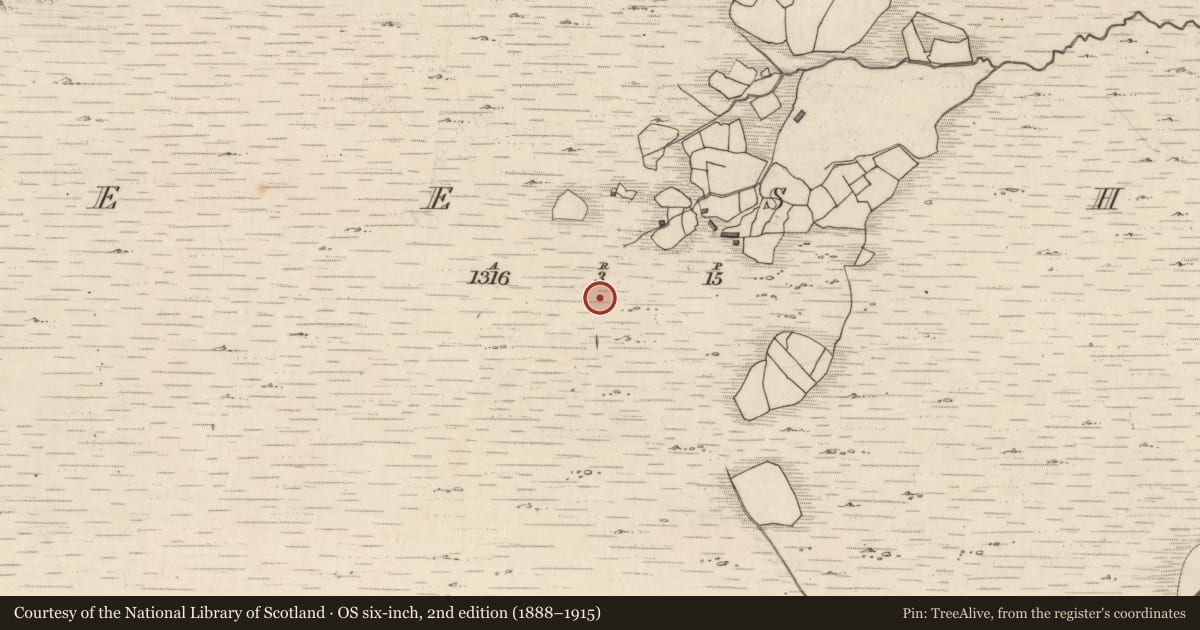 Ordnance Survey six-inch map, 2nd edition (1888–1915) covering the location of Rock art, Neesha, County Kerry, with a pin at the register's coordinates