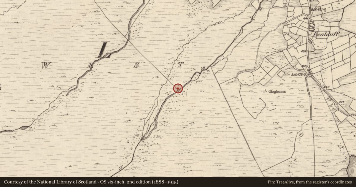 Ordnance Survey six-inch map, 2nd edition (1888–1915) covering the location of Rock art, Letter West, County Kerry, with a pin at the register's coordinates