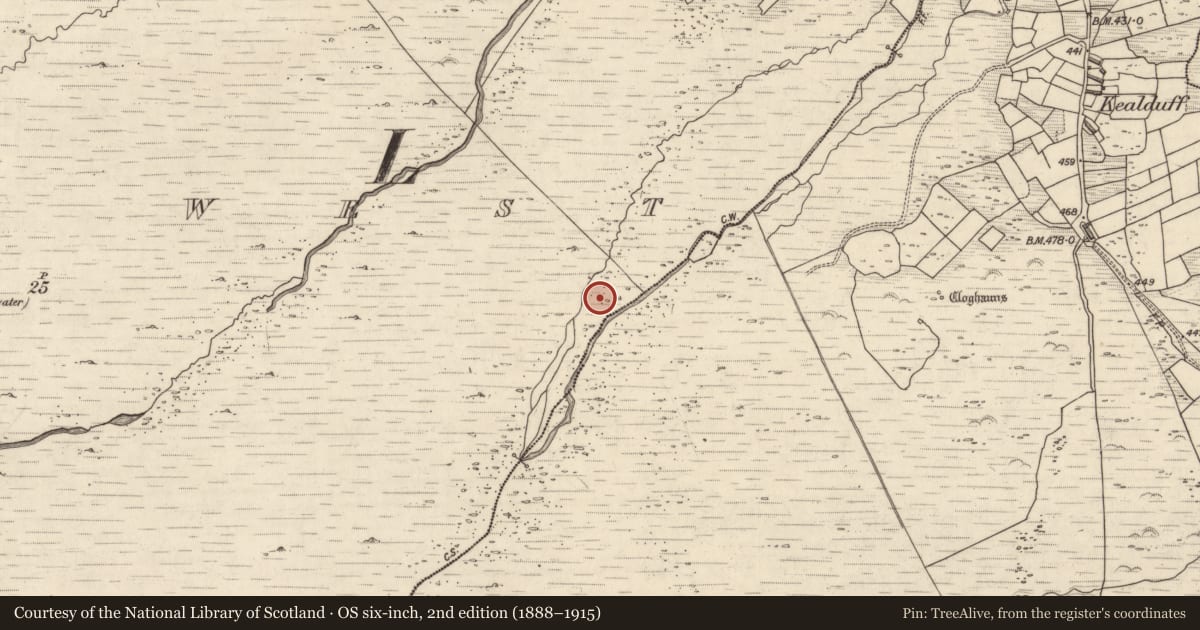Ordnance Survey six-inch map, 2nd edition (1888–1915) covering the location of Rock art, Letter West, County Kerry, with a pin at the register's coordinates