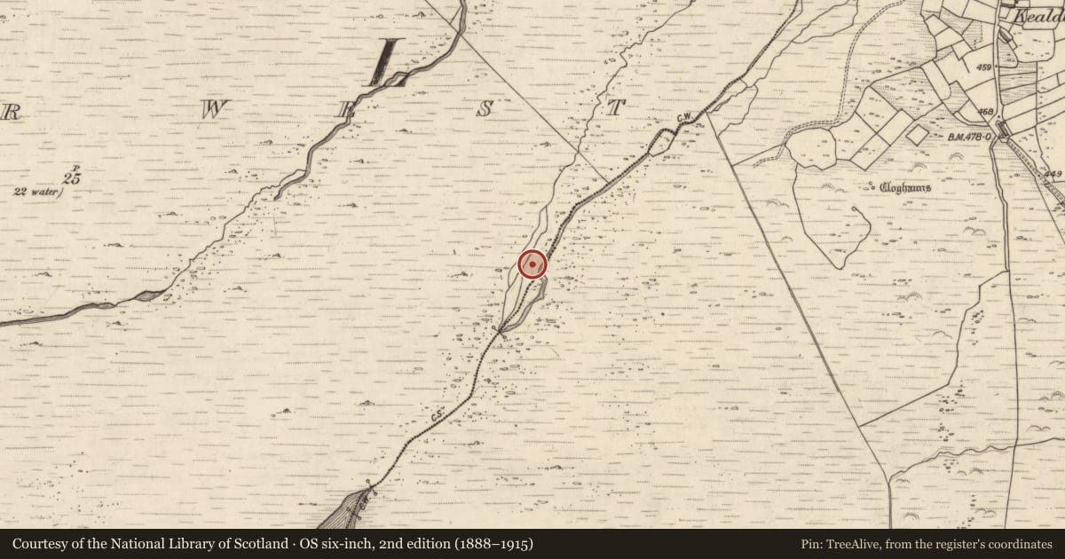 Ordnance Survey six-inch map, 2nd edition (1888–1915) covering the location of Rock art, Letter West, County Kerry, with a pin at the register's coordinates