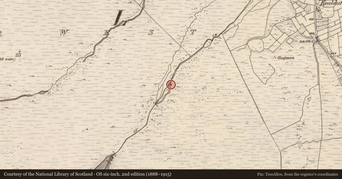 Ordnance Survey six-inch map, 2nd edition (1888–1915) covering the location of Rock art, Kealduff Upper, County Kerry, with a pin at the register's coordinates