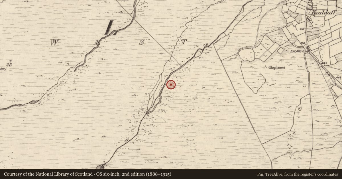 Ordnance Survey six-inch map, 2nd edition (1888–1915) covering the location of Rock art, Kealduff Upper, County Kerry, with a pin at the register's coordinates