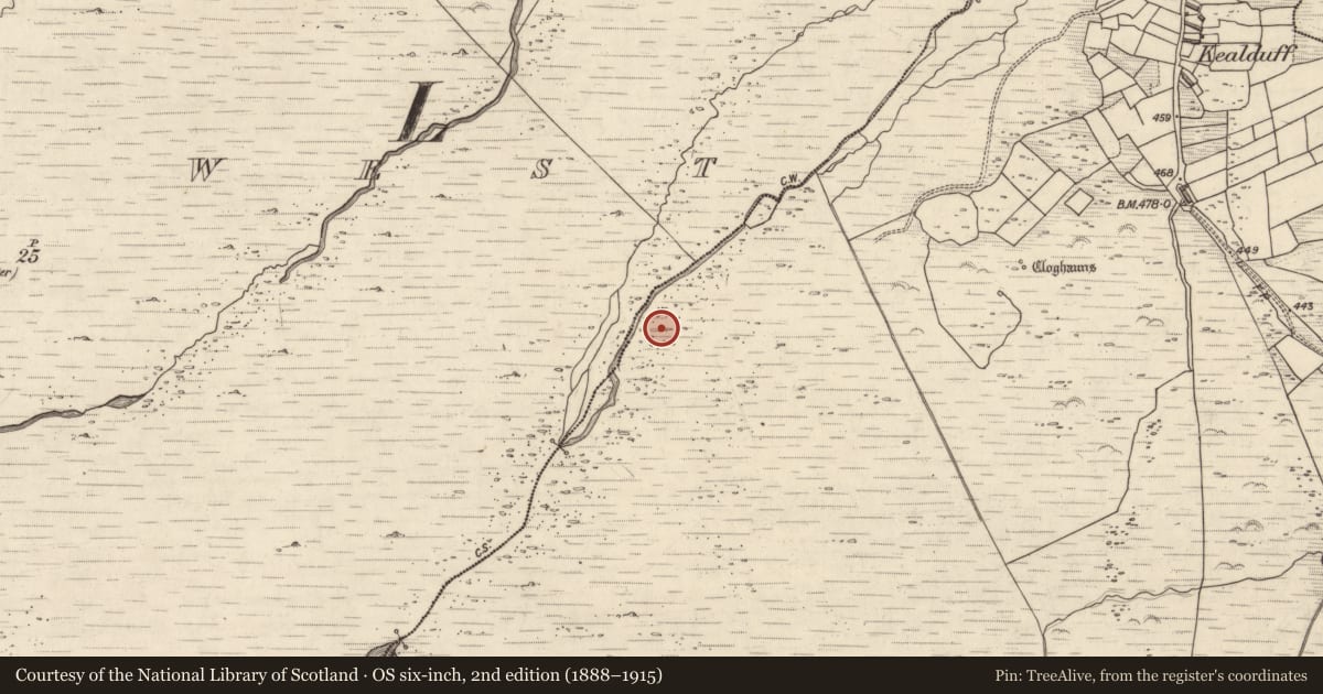 Ordnance Survey six-inch map, 2nd edition (1888–1915) covering the location of Rock art, Kealduff Upper, County Kerry, with a pin at the register's coordinates