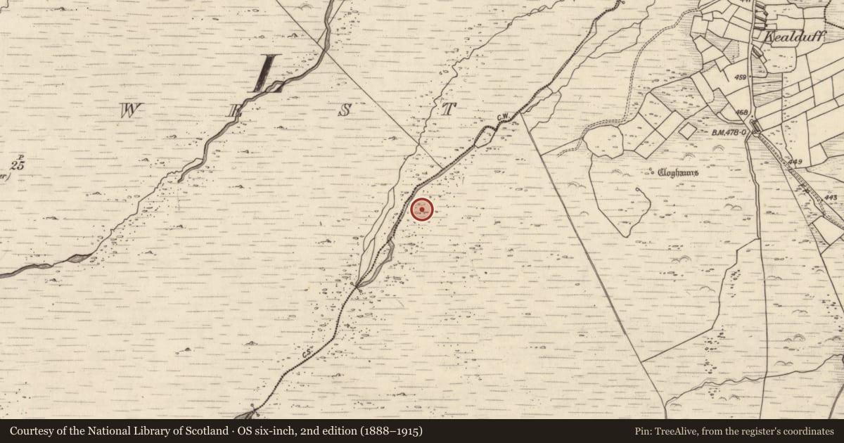 Ordnance Survey six-inch map, 2nd edition (1888–1915) covering the location of Rock art, Kealduff Upper, County Kerry, with a pin at the register's coordinates