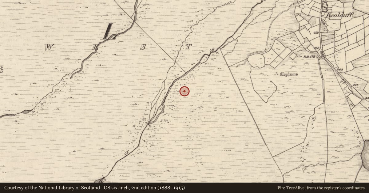Ordnance Survey six-inch map, 2nd edition (1888–1915) covering the location of Rock art, Kealduff Upper, County Kerry, with a pin at the register's coordinates
