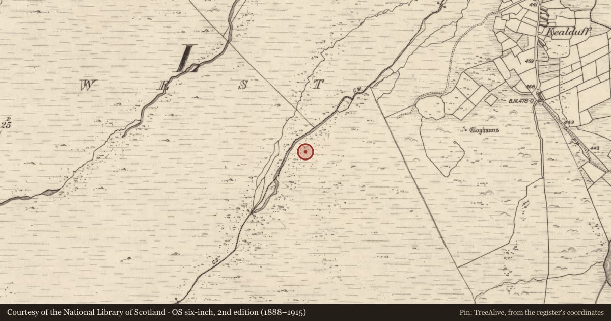 Ordnance Survey six-inch map, 2nd edition (1888–1915) covering the location of Rock art, Kealduff Upper, County Kerry, with a pin at the register's coordinates