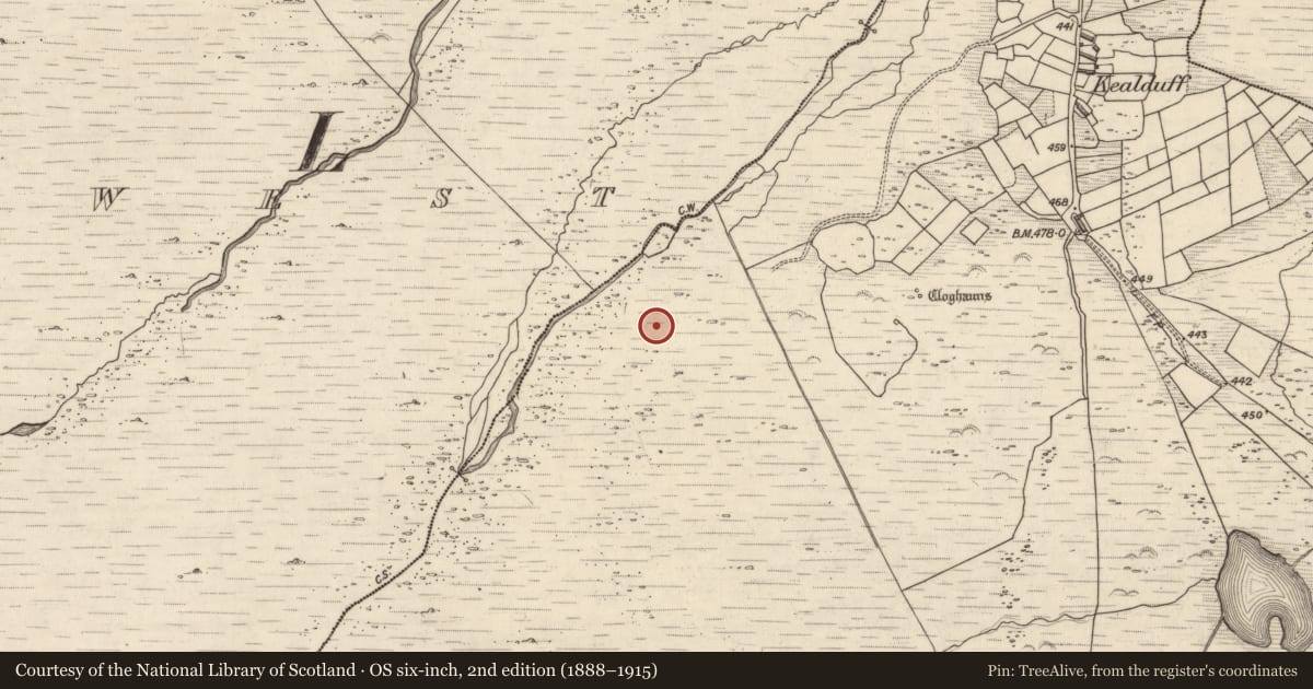 Ordnance Survey six-inch map, 2nd edition (1888–1915) covering the location of Rock art, Kealduff Upper, County Kerry, with a pin at the register's coordinates
