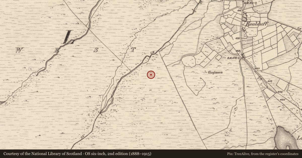 Ordnance Survey six-inch map, 2nd edition (1888–1915) covering the location of Rock art, Kealduff Upper, County Kerry, with a pin at the register's coordinates