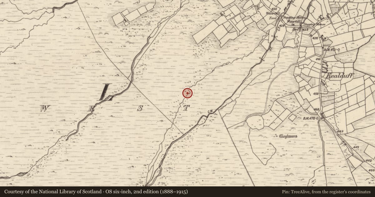 Ordnance Survey six-inch map, 2nd edition (1888–1915) covering the location of Rock art, Letter West, County Kerry, with a pin at the register's coordinates