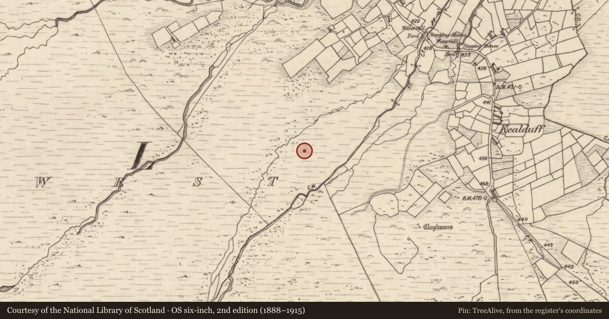 Ordnance Survey six-inch map, 2nd edition (1888–1915) covering the location of Rock art, Letter West, County Kerry, with a pin at the register's coordinates