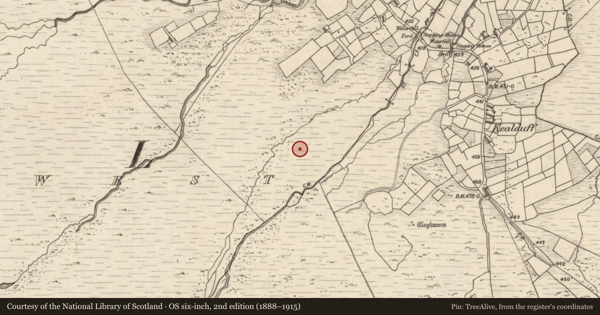 Ordnance Survey six-inch map, 2nd edition (1888–1915) covering the location of Rock art, Letter West, County Kerry, with a pin at the register's coordinates