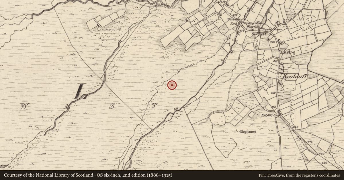 Ordnance Survey six-inch map, 2nd edition (1888–1915) covering the location of Rock art, Letter West, County Kerry, with a pin at the register's coordinates