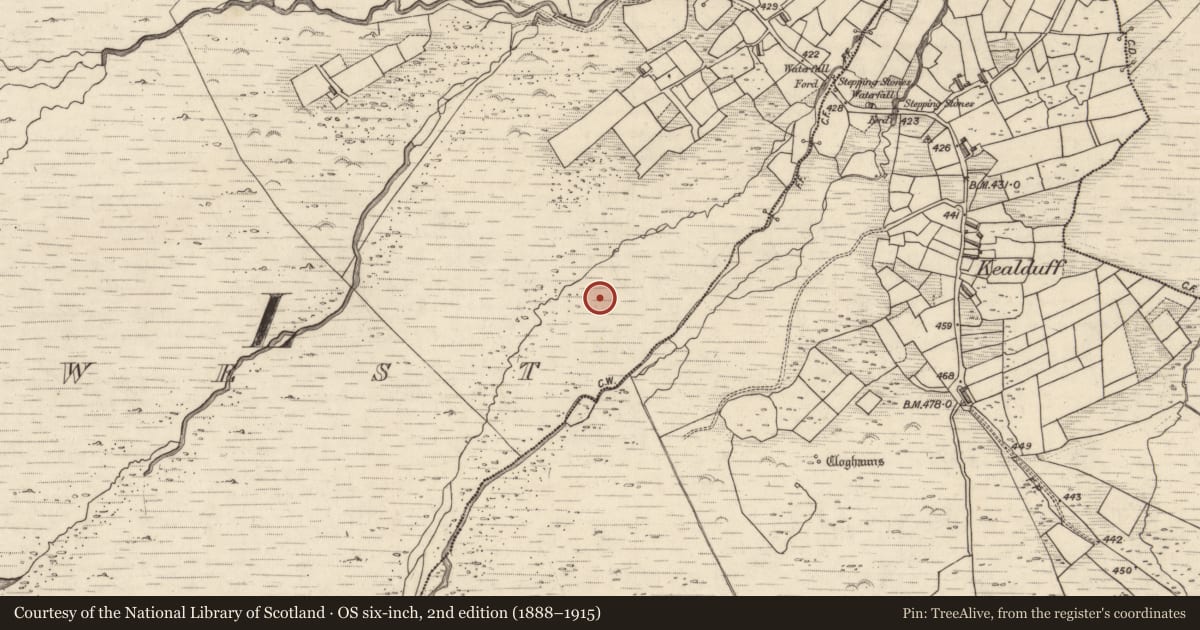 Ordnance Survey six-inch map, 2nd edition (1888–1915) covering the location of Rock art, Letter West, County Kerry, with a pin at the register's coordinates