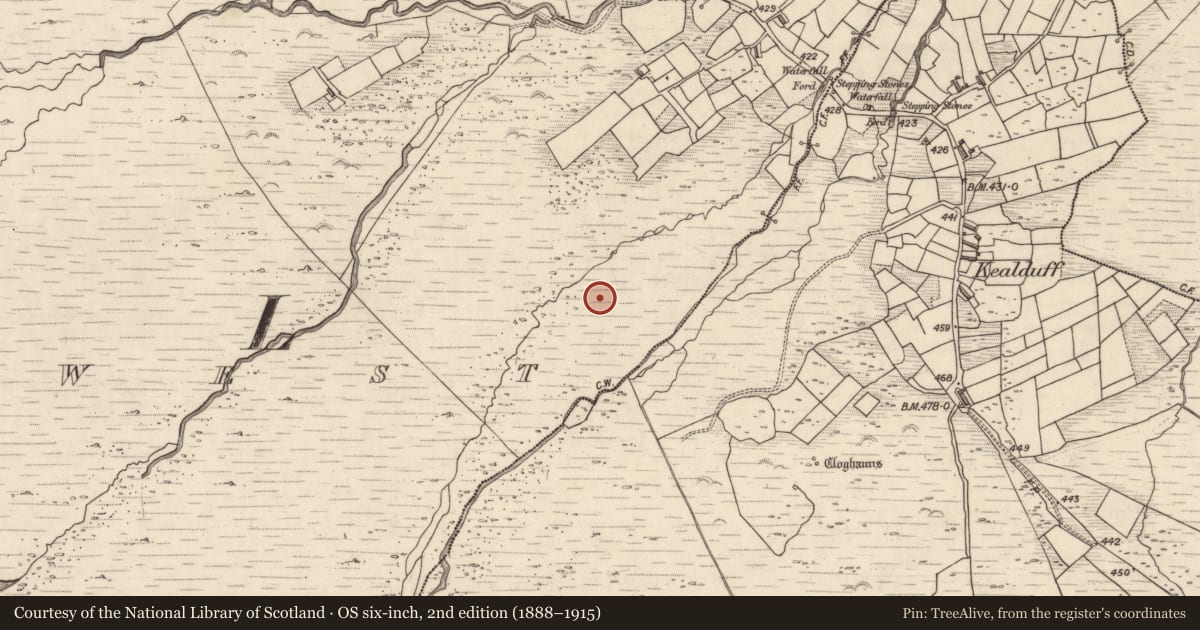 Ordnance Survey six-inch map, 2nd edition (1888–1915) covering the location of Rock art, Letter West, County Kerry, with a pin at the register's coordinates