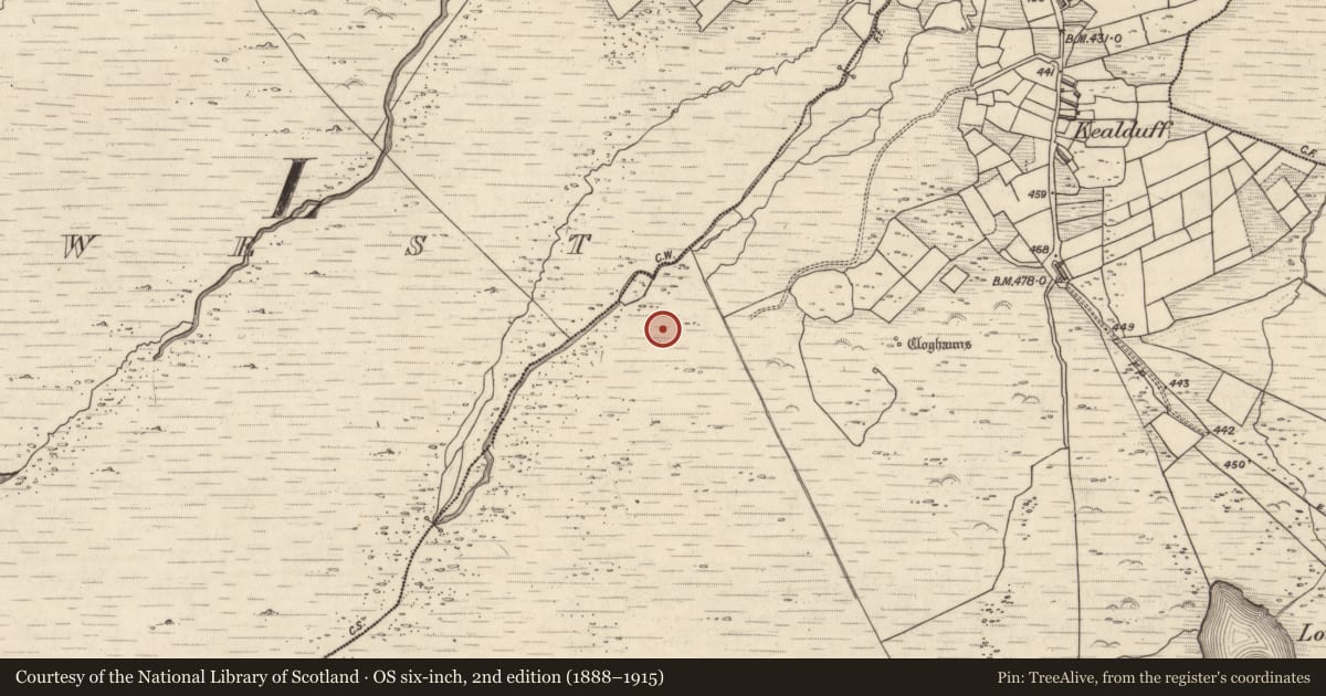 Ordnance Survey six-inch map, 2nd edition (1888–1915) covering the location of Rock art, Kealduff Upper, County Kerry, with a pin at the register's coordinates
