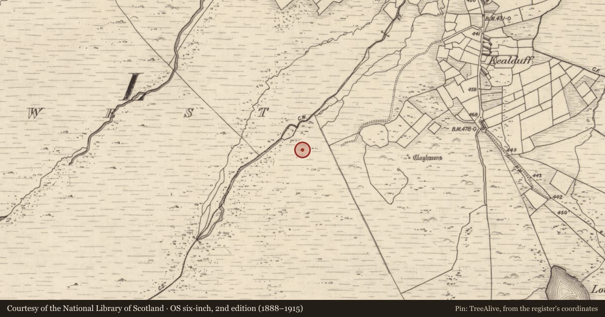 Ordnance Survey six-inch map, 2nd edition (1888–1915) covering the location of Rock art, Kealduff Upper, County Kerry, with a pin at the register's coordinates