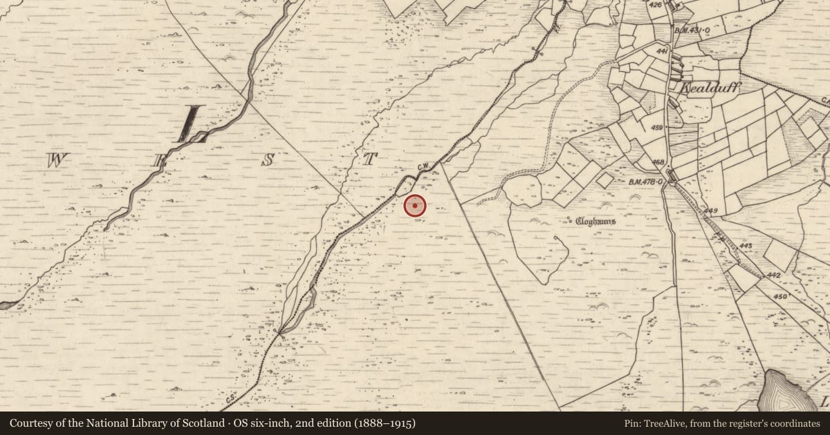 Ordnance Survey six-inch map, 2nd edition (1888–1915) covering the location of Rock art, Kealduff Upper, County Kerry, with a pin at the register's coordinates