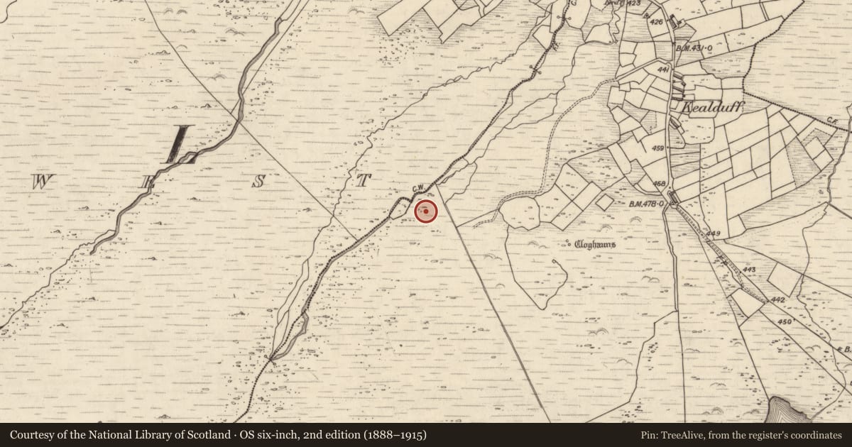 Ordnance Survey six-inch map, 2nd edition (1888–1915) covering the location of Rock art, Kealduff Upper, County Kerry, with a pin at the register's coordinates