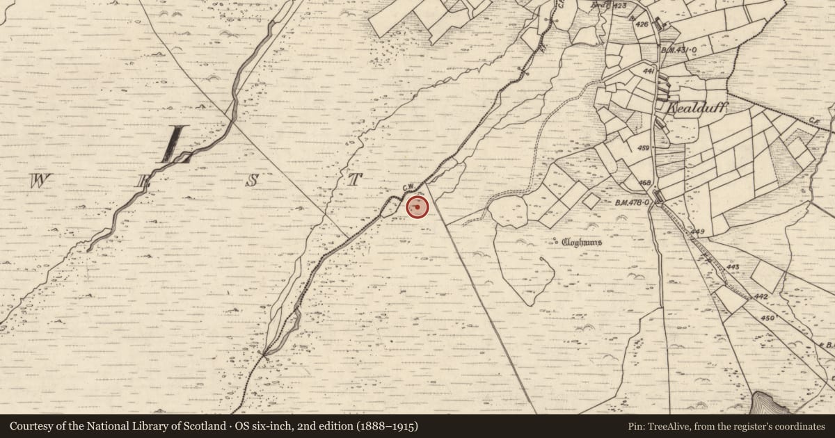 Ordnance Survey six-inch map, 2nd edition (1888–1915) covering the location of Rock art, Kealduff Upper, County Kerry, with a pin at the register's coordinates