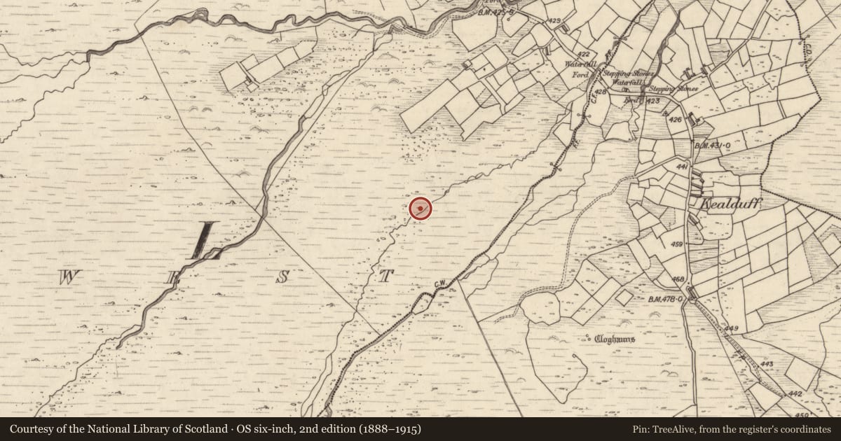 Ordnance Survey six-inch map, 2nd edition (1888–1915) covering the location of Rock art, Letter West, County Kerry, with a pin at the register's coordinates