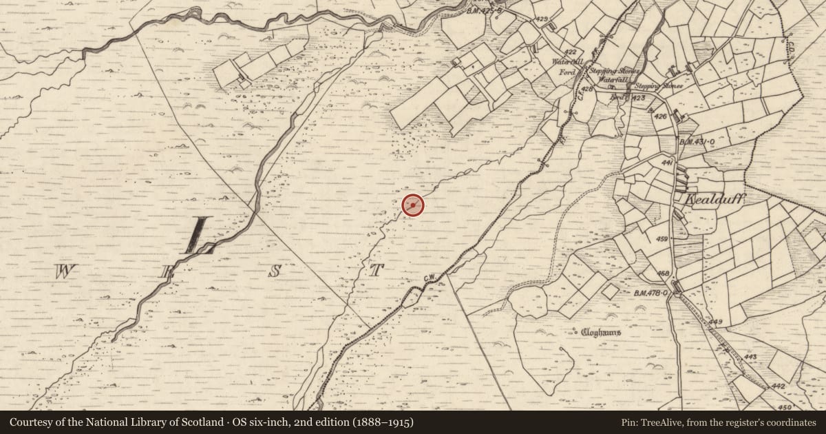 Ordnance Survey six-inch map, 2nd edition (1888–1915) covering the location of Rock art, Letter West, County Kerry, with a pin at the register's coordinates