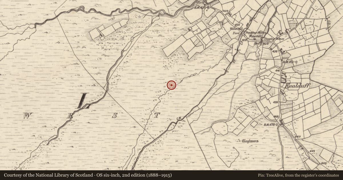 Ordnance Survey six-inch map, 2nd edition (1888–1915) covering the location of Rock art, Letter West, County Kerry, with a pin at the register's coordinates