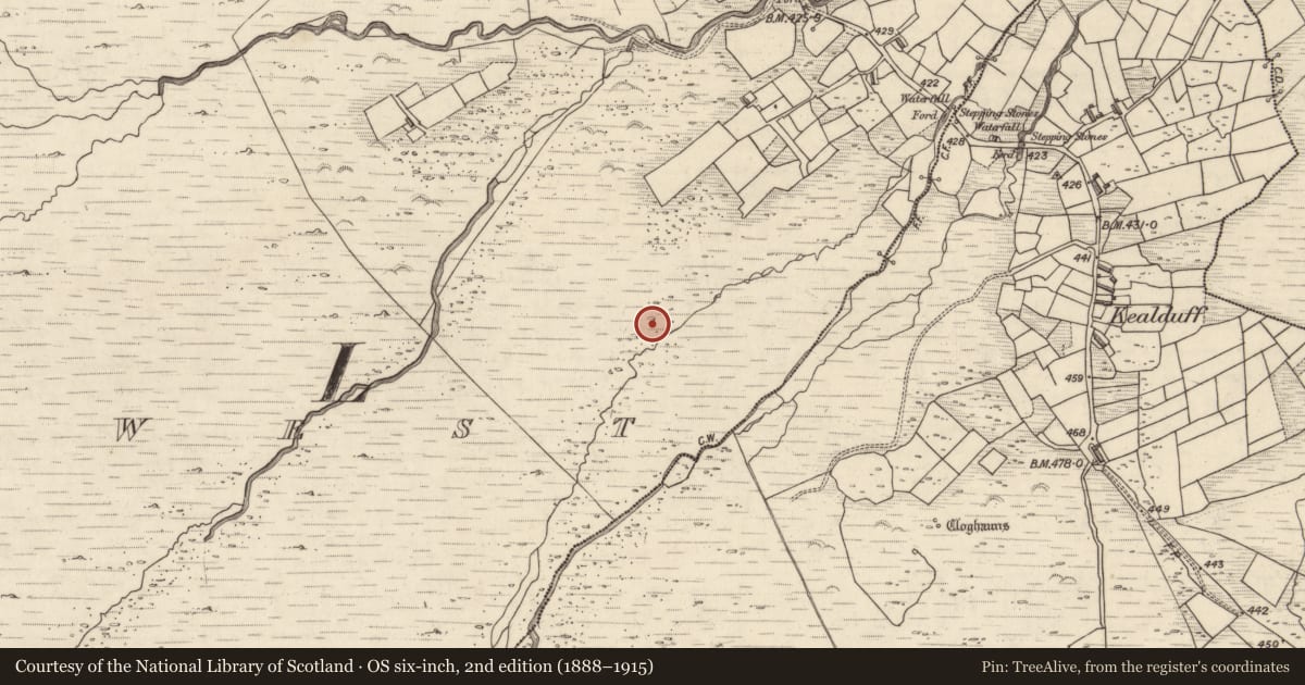 Ordnance Survey six-inch map, 2nd edition (1888–1915) covering the location of Rock art, Letter West, County Kerry, with a pin at the register's coordinates
