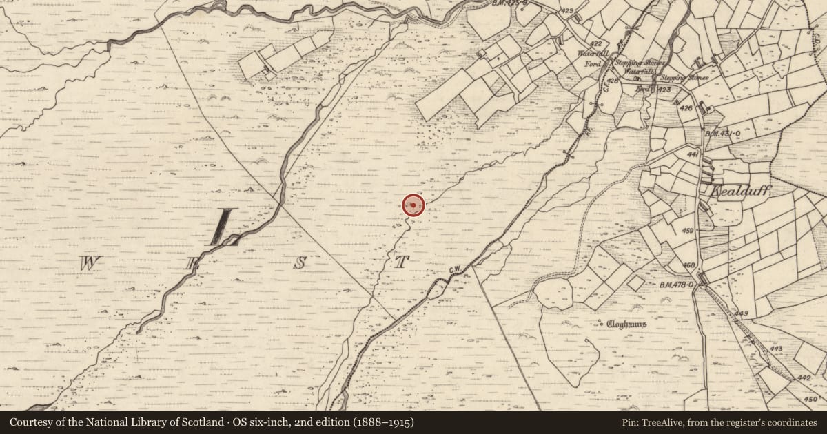 Ordnance Survey six-inch map, 2nd edition (1888–1915) covering the location of Rock art, Letter West, County Kerry, with a pin at the register's coordinates
