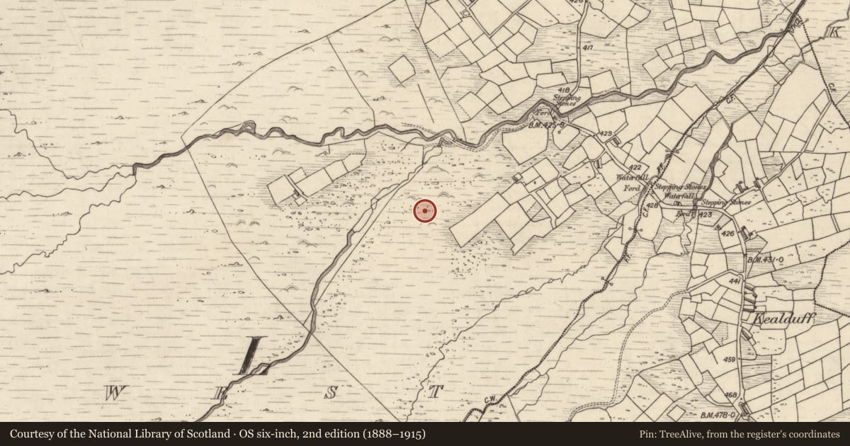 Ordnance Survey six-inch map, 2nd edition (1888–1915) covering the location of Rock art, Letter West, County Kerry, with a pin at the register's coordinates