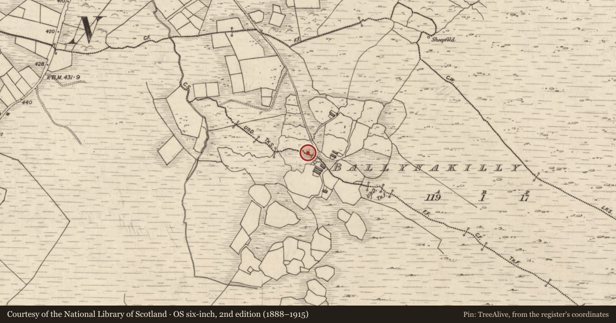 Ordnance Survey six-inch map, 2nd edition (1888–1915) covering the location of Rock art, Ballynakilly, County Kerry, with a pin at the register's coordinates