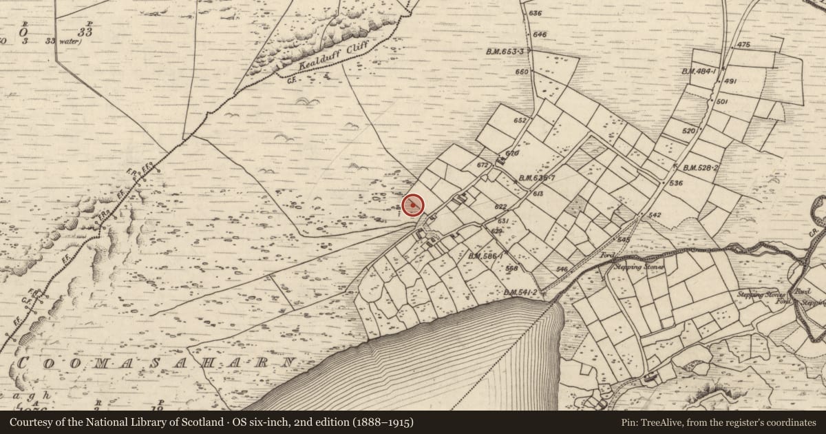Ordnance Survey six-inch map, 2nd edition (1888–1915) covering the location of Rock art, Coomasaharn, County Kerry, with a pin at the register's coordinates
