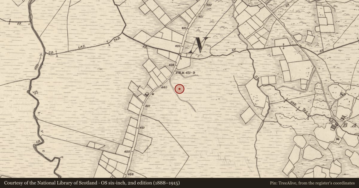 Ordnance Survey six-inch map, 2nd edition (1888–1915) covering the location of Rock art, Canearagh, County Kerry, with a pin at the register's coordinates