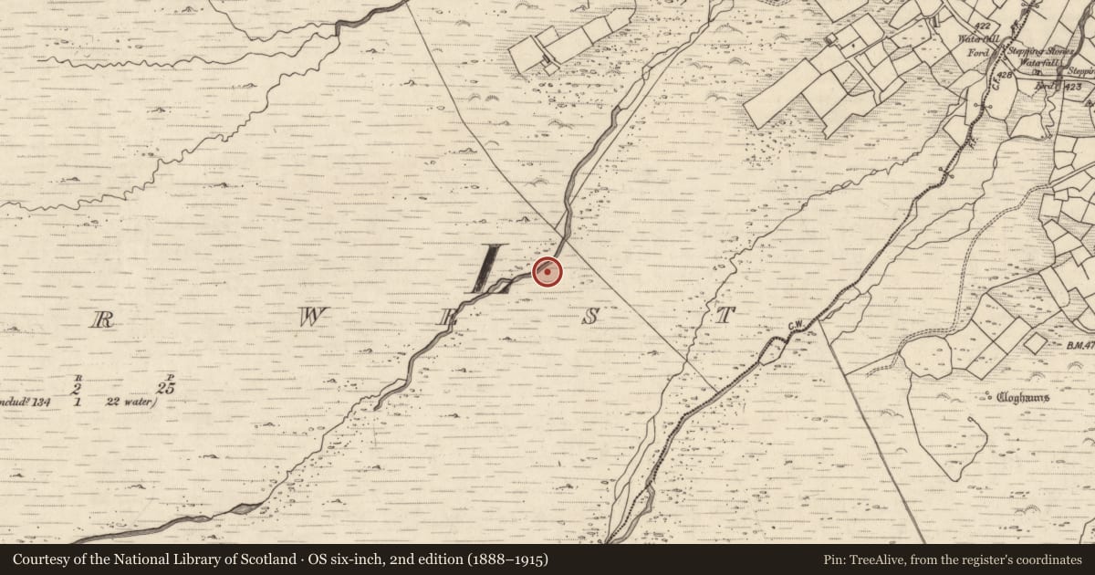 Ordnance Survey six-inch map, 2nd edition (1888–1915) covering the location of Rock art, Letter West, County Kerry, with a pin at the register's coordinates
