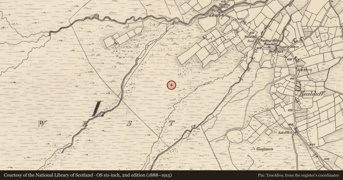 Ordnance Survey six-inch map, 2nd edition (1888–1915) covering the location of Rock art, Letter West, County Kerry, with a pin at the register's coordinates