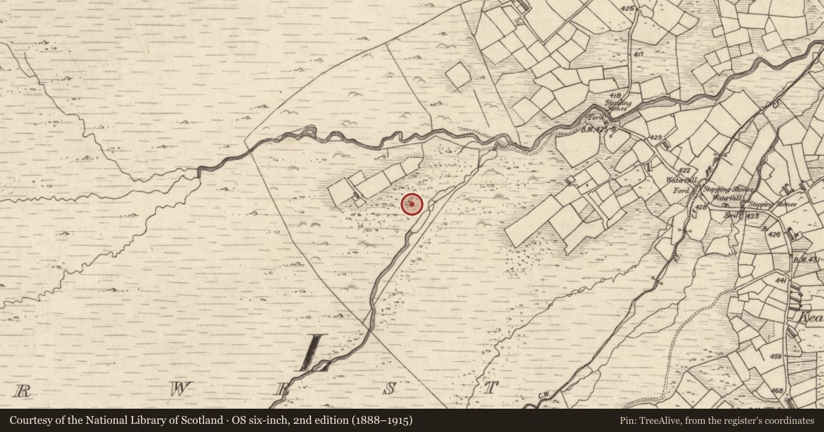 Ordnance Survey six-inch map, 2nd edition (1888–1915) covering the location of Rock art, Letter West, County Kerry, with a pin at the register's coordinates