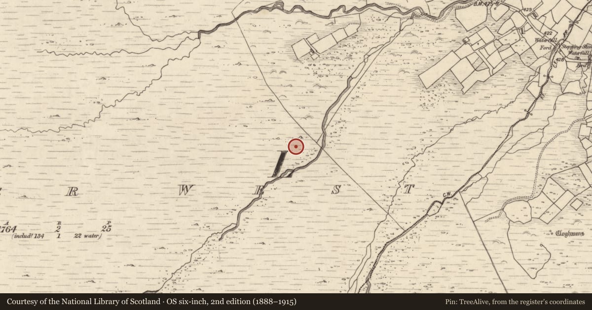 Ordnance Survey six-inch map, 2nd edition (1888–1915) covering the location of Rock art, Letter West, County Kerry, with a pin at the register's coordinates