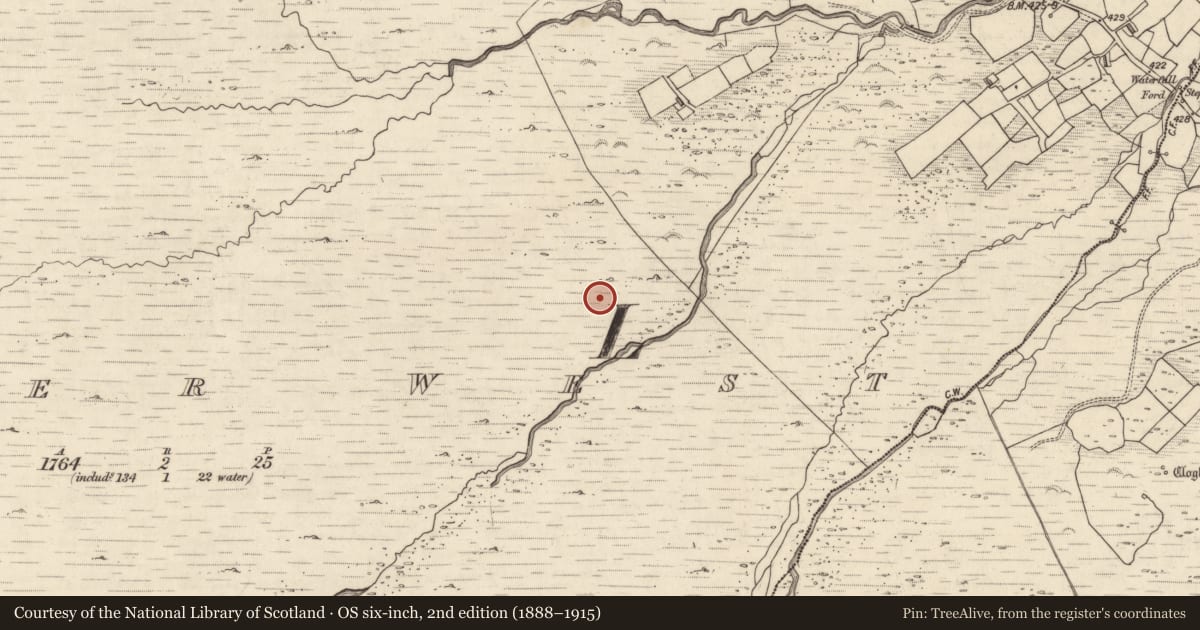Ordnance Survey six-inch map, 2nd edition (1888–1915) covering the location of Rock art, Letter West, County Kerry, with a pin at the register's coordinates