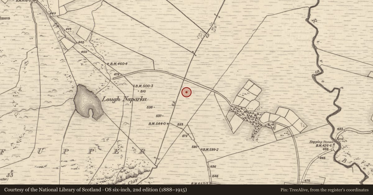 Ordnance Survey six-inch map, 2nd edition (1888–1915) covering the location of Field boundary, Coomasaharn, County Kerry, with a pin at the register's coordinates