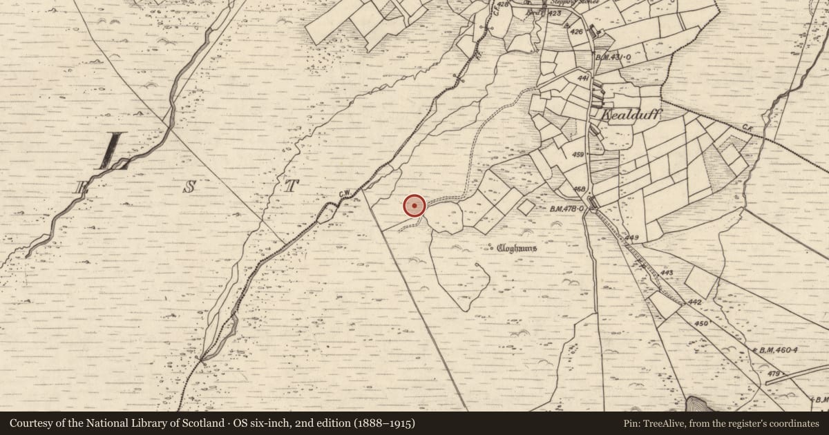 Ordnance Survey six-inch map, 2nd edition (1888–1915) covering the location of Rock art, Kealduff Upper, County Kerry, with a pin at the register's coordinates
