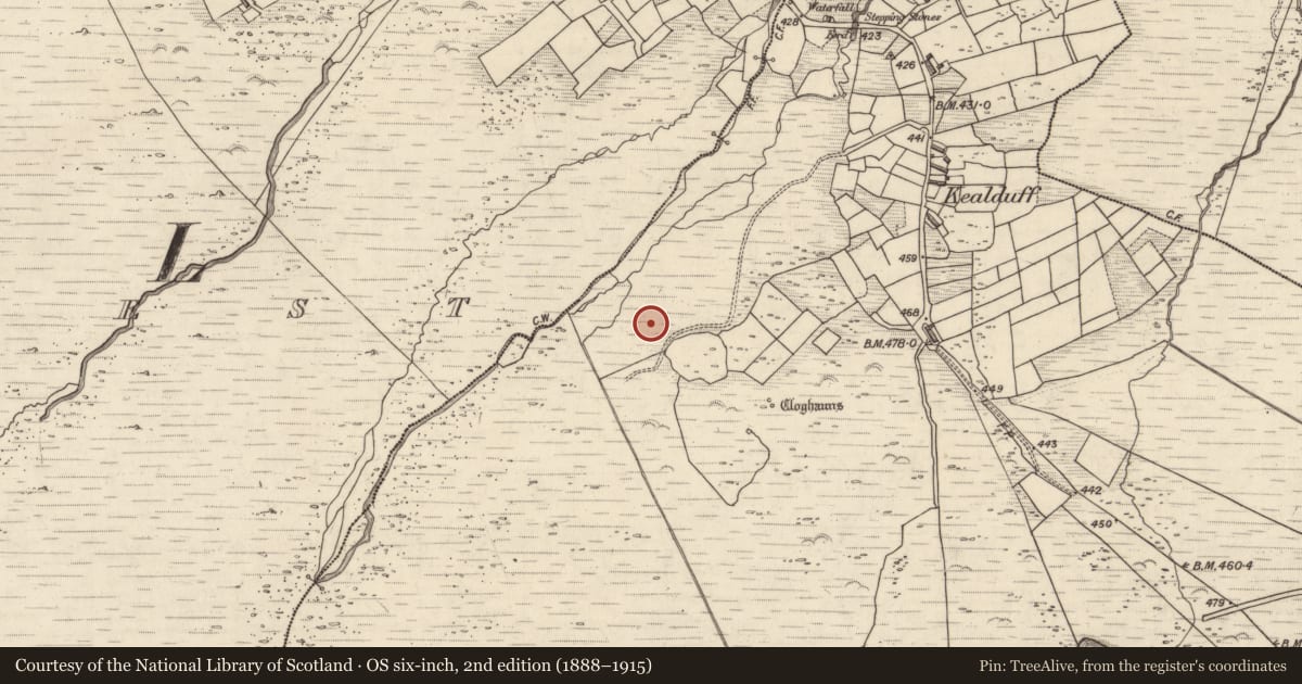 Ordnance Survey six-inch map, 2nd edition (1888–1915) covering the location of Rock art, Kealduff Upper, County Kerry, with a pin at the register's coordinates